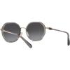imageCoach HC7141 Sunglasses Transparent GreyShiny Light GoldGrey Gradient 54 mm
