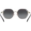 imageCoach HC7141 Sunglasses Transparent GreyShiny Light GoldGrey Gradient 54 mm