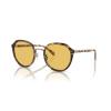 imageCoach Womens Hc7154 Round SunglassesHoney TortoiseAmber Solid