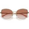 imageCoach Womens Hc7162 Cat Eye SunglassesShiny Light GoldNutmegAmber Gradient