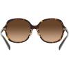 imageCoach Womens Hc8360f Low Bridge Fit Square SunglassesDark TortoiseBrown Gradient
