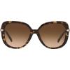 imageCoach HC8320 Sunglasses Dark TortoiseDark Brown Gradient 55 mm