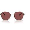 imageCoach Mens Hc7155 Round SunglassesAntique GoldWine Solid