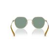 imageCoach Mens Hc7155 Round SunglassesLight Gold Satin ColorGreen Solid