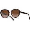 imageCoach Womens Hc8331 Round SunglassesDark TortoiseBrown Gradient