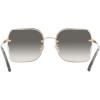 imageCoach HC7150D Sunglasses Shiny Light GoldBlack Grey Sand Gradient 60 mm
