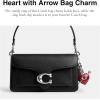 imageCoach Resin Heart with Arrow Bag Charm