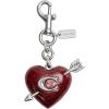 imageCoach Resin Heart with Arrow Bag Charm