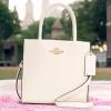 imageCoach Mini Cally CrossbodyChalk
