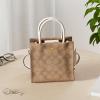imageCoach Mini Cally CrossbodyKhaki Chalk