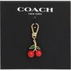 imageCOACH Womens Collectible Signature Jewelry CharmREDGOLD