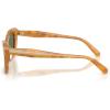 image:imageCOACH womens Hc8452u Universal Fit Cat Eye SunglassesBlonde TortoiseGreen Solid