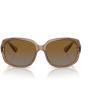 image:imageCOACH Sunglasses HC 8169 5561T5 L149 Transparent Brown G